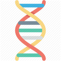 Colourful DNA helix